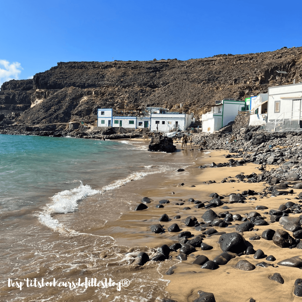 fuerteventura ou lanzarote