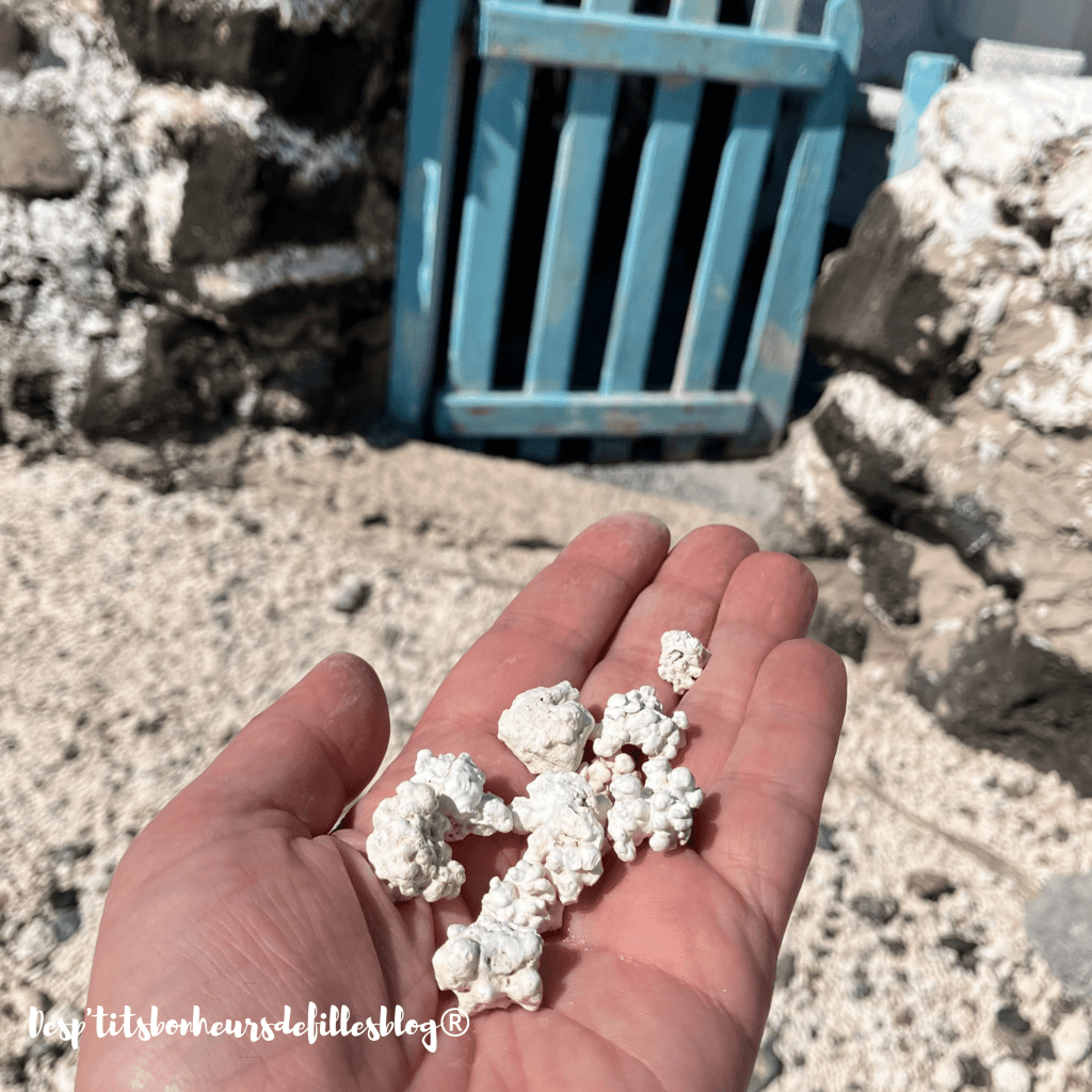 plage popcorn beach fuerteventura