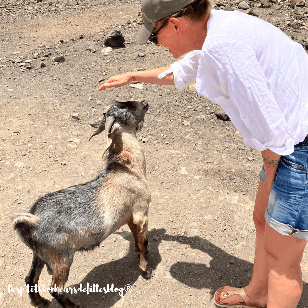 blog voyage fuerteventura