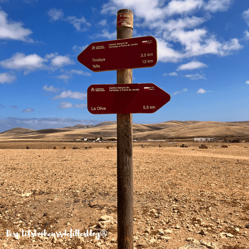 carnet voyage fuerteventura