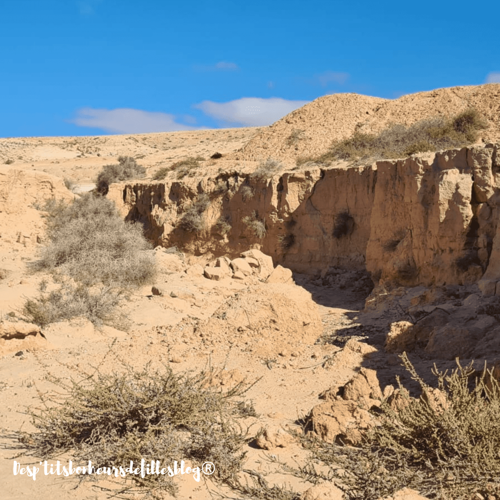 que faire fuerteventura couple