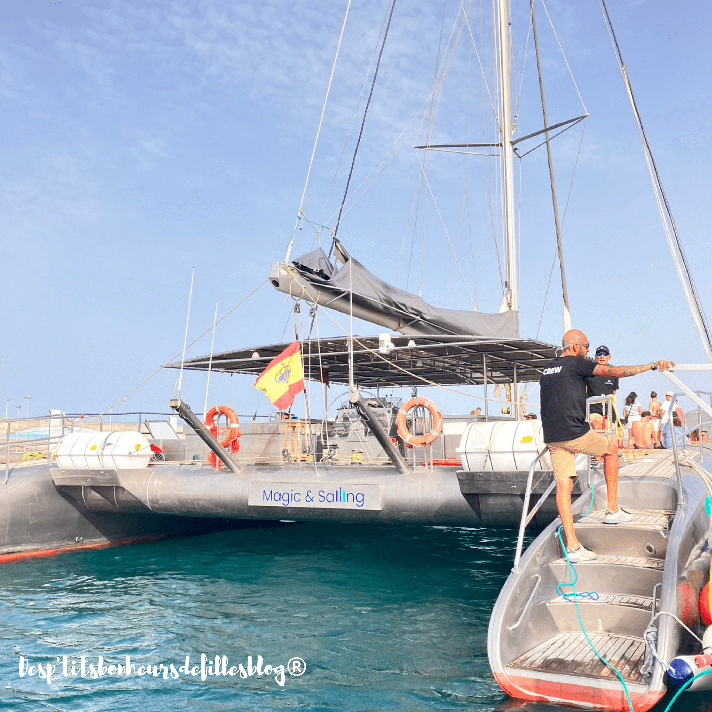 excursion catamaran experience marine inoubliable fuerteventura