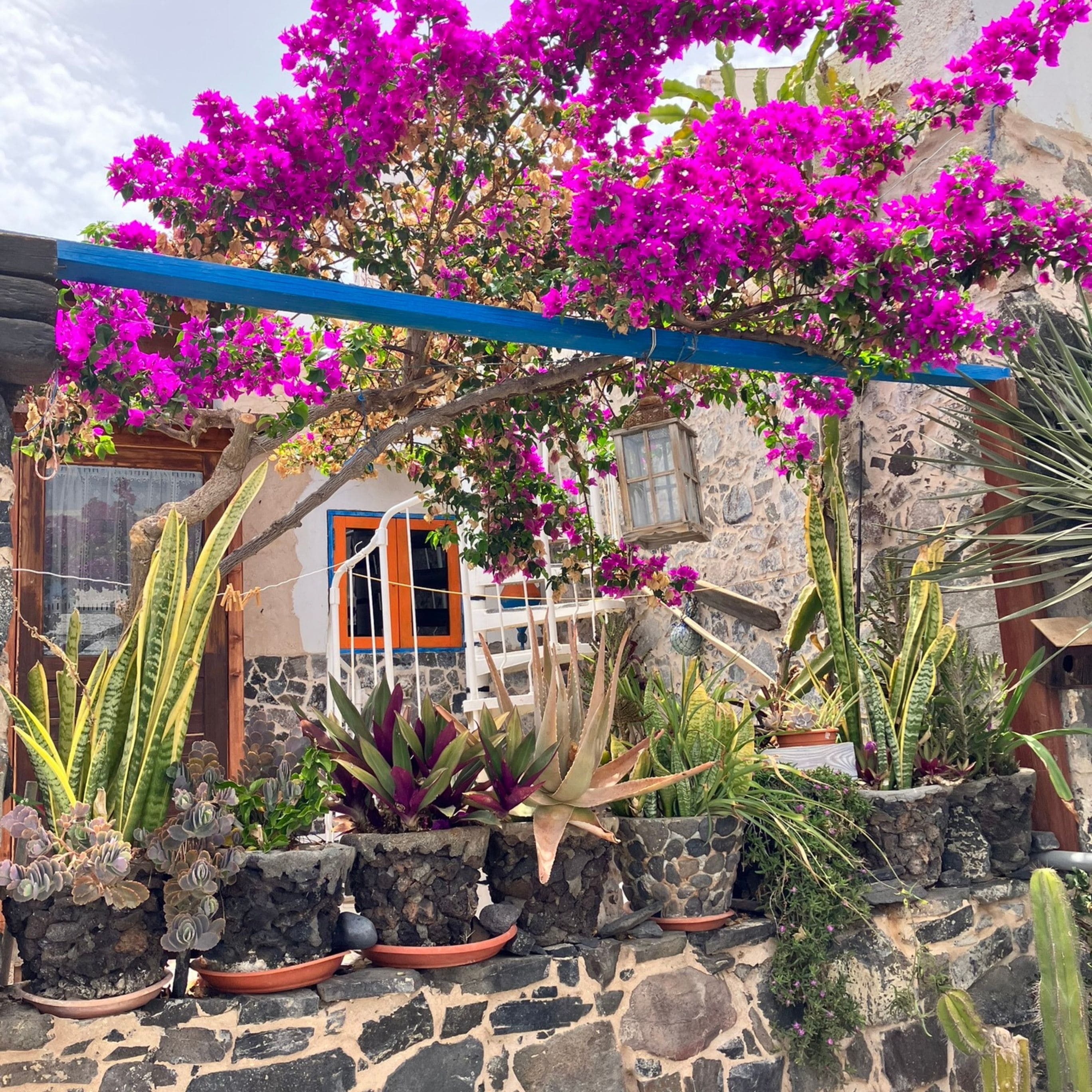 exploration des paysages de fuerteventura