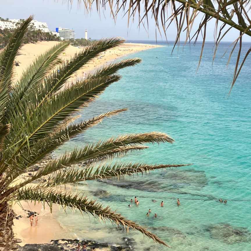 captivant panorama de fuerteventura 