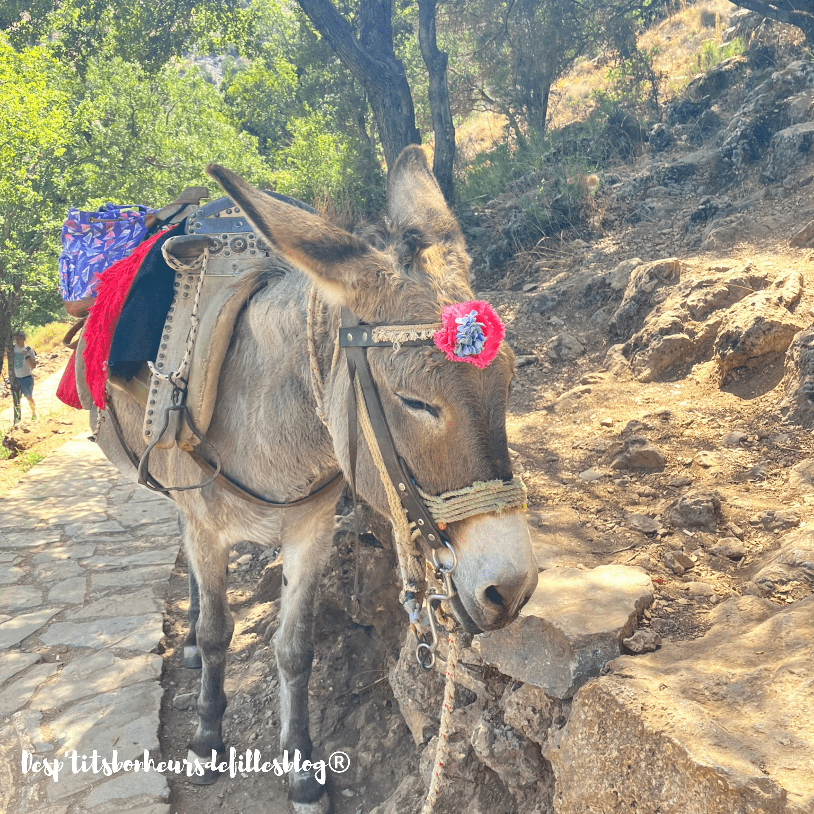 visiter la crète que voir ?