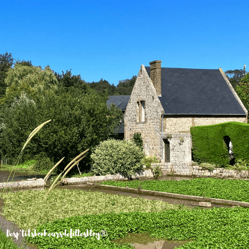 cressonnieres veules les roses 