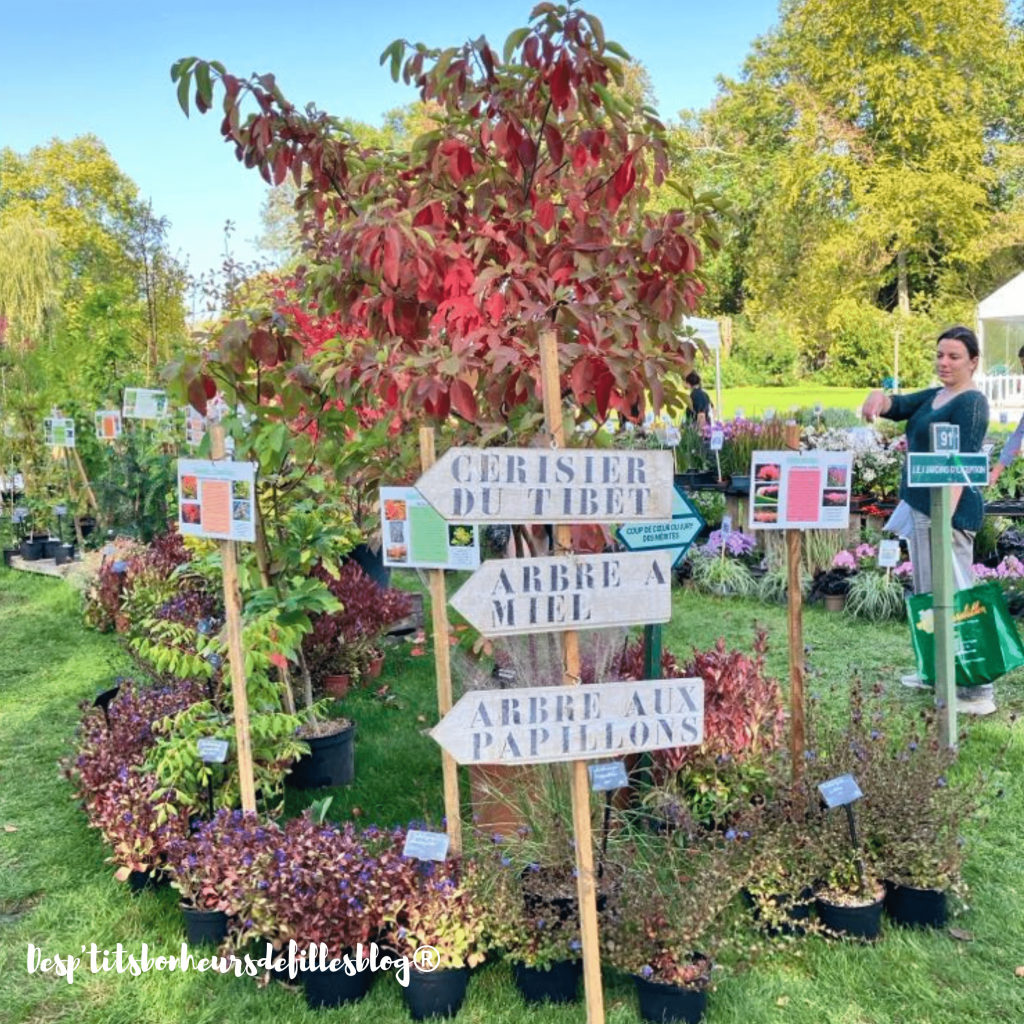 Parc du château de Chantilly en automne pendant les Journées des Plantes
