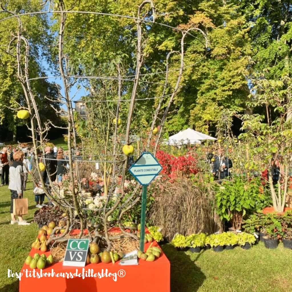 plantes rares journees des plantes chantilly 2025