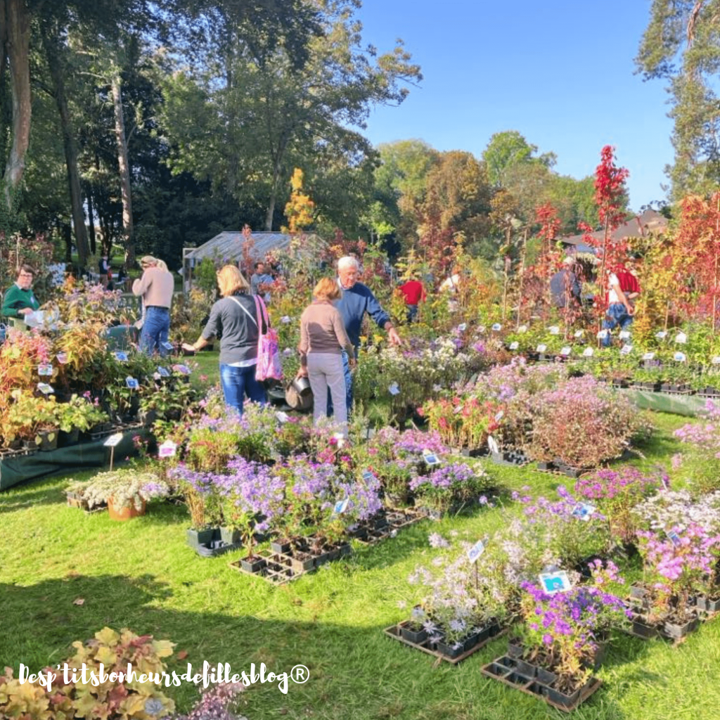 varietés plantes pepinieristes chnatilly