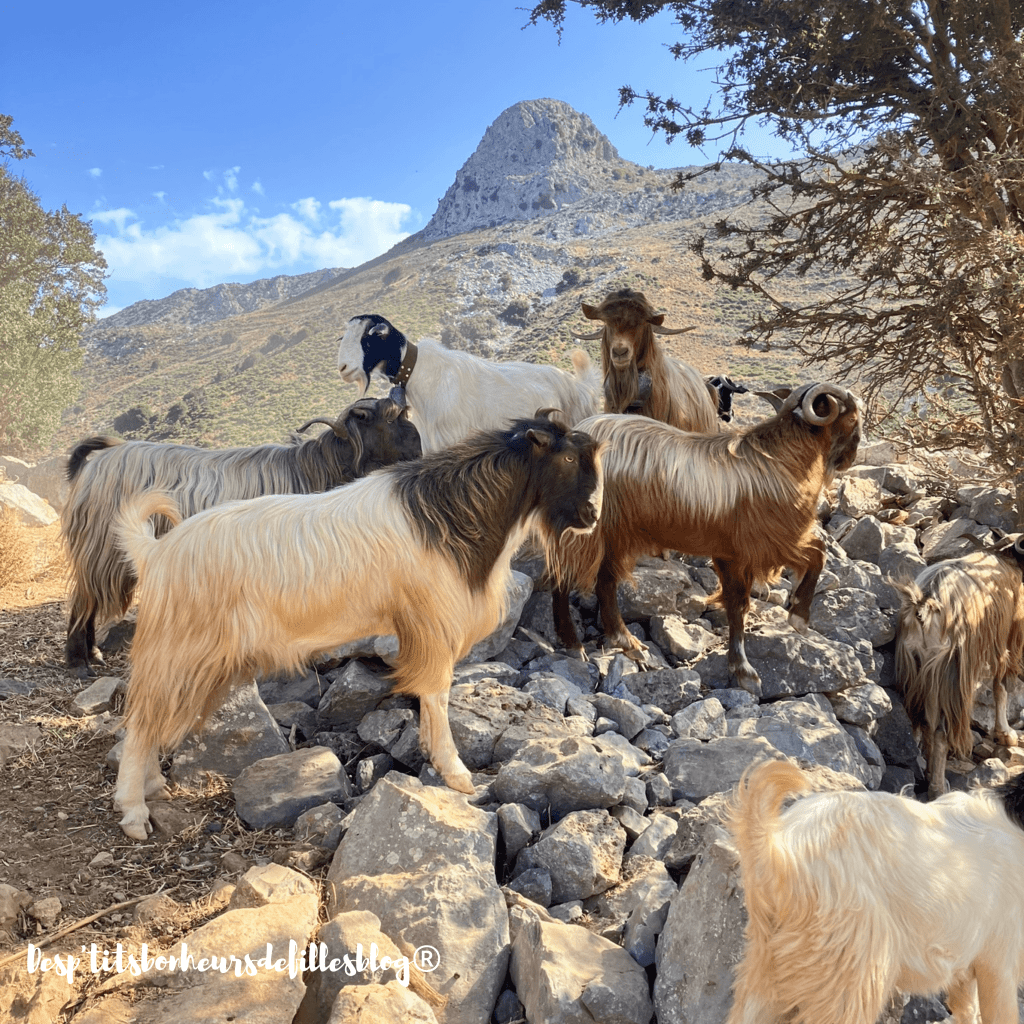 une semaine en crete que faire ?