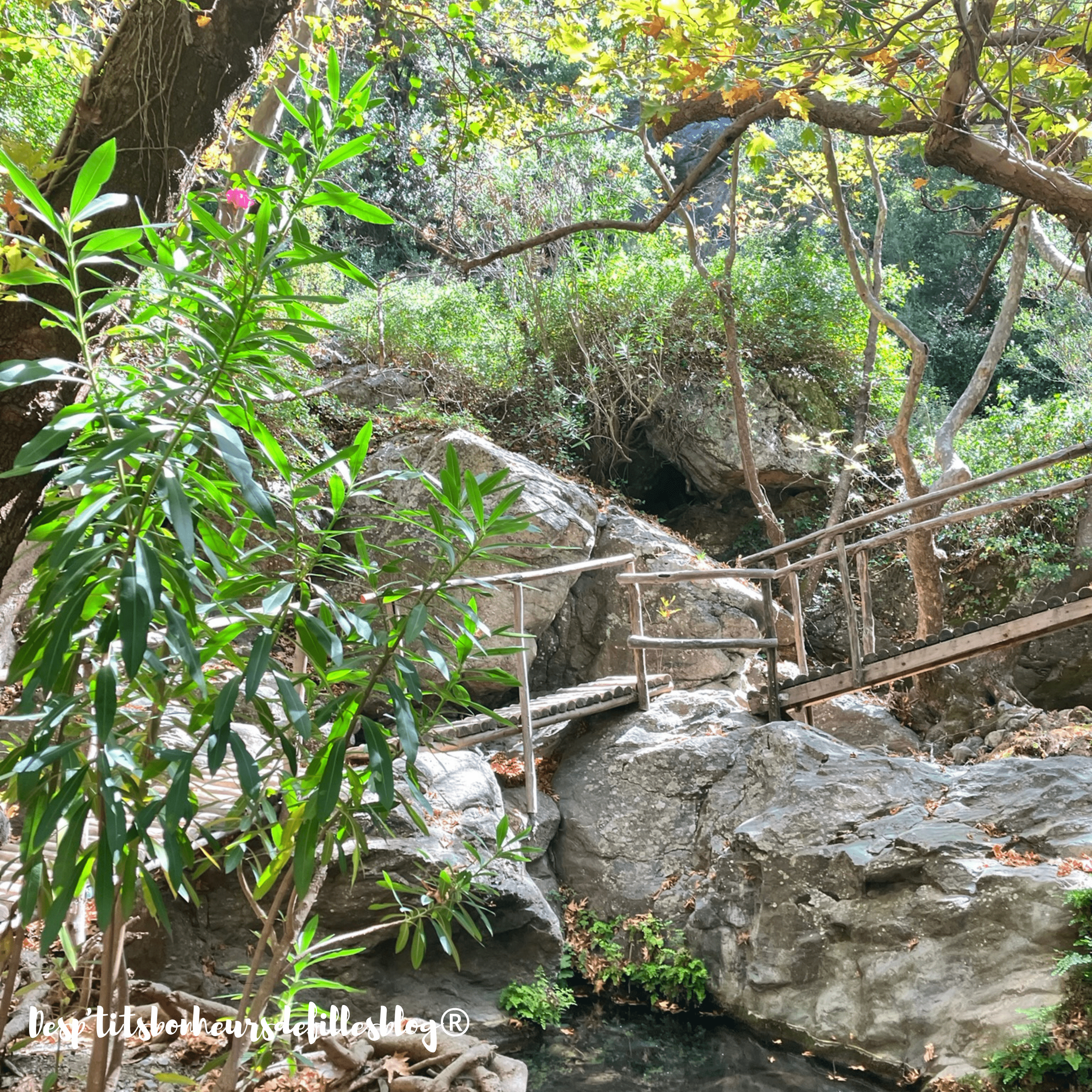 randonnée crete gorges 