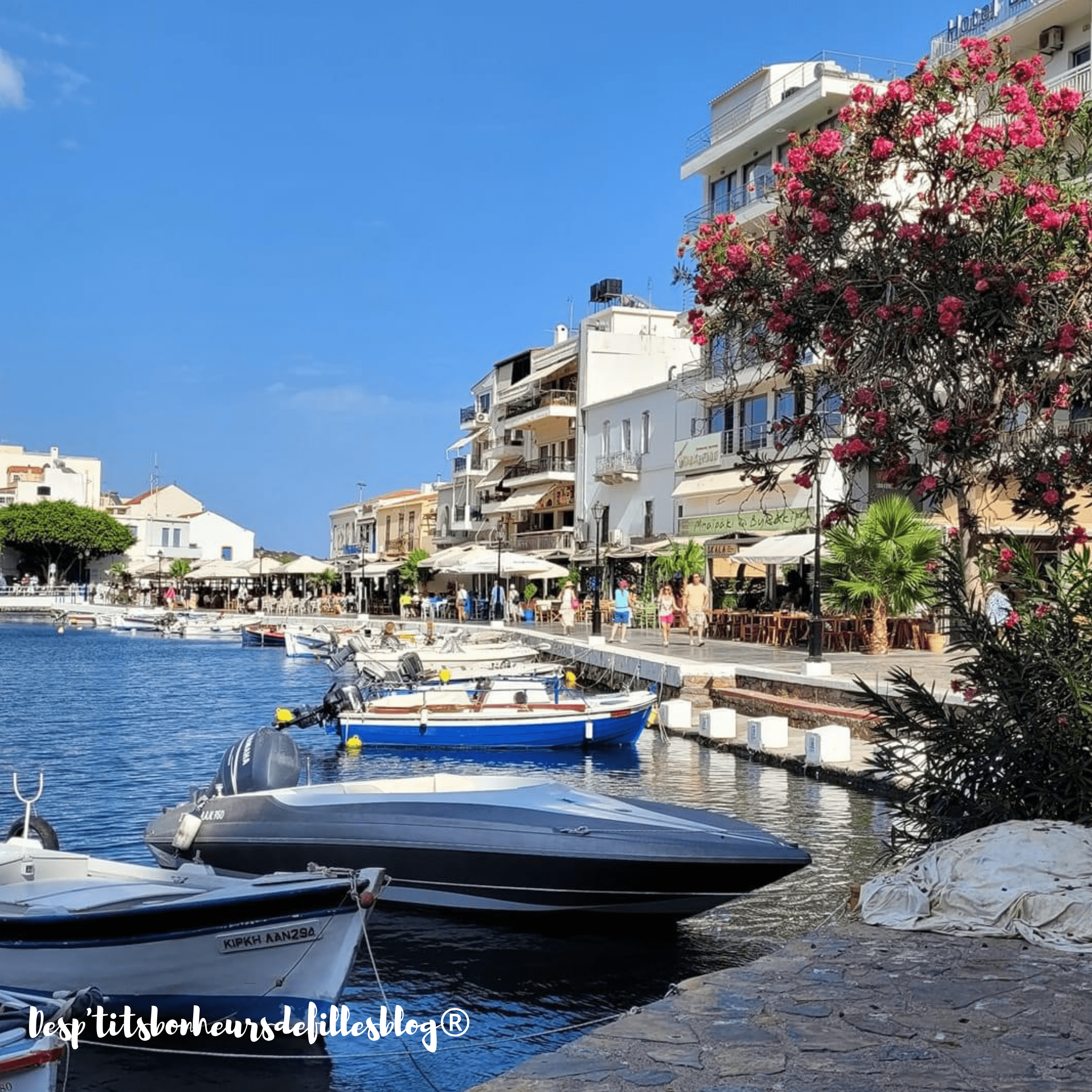 Agios nikolaos crete avis