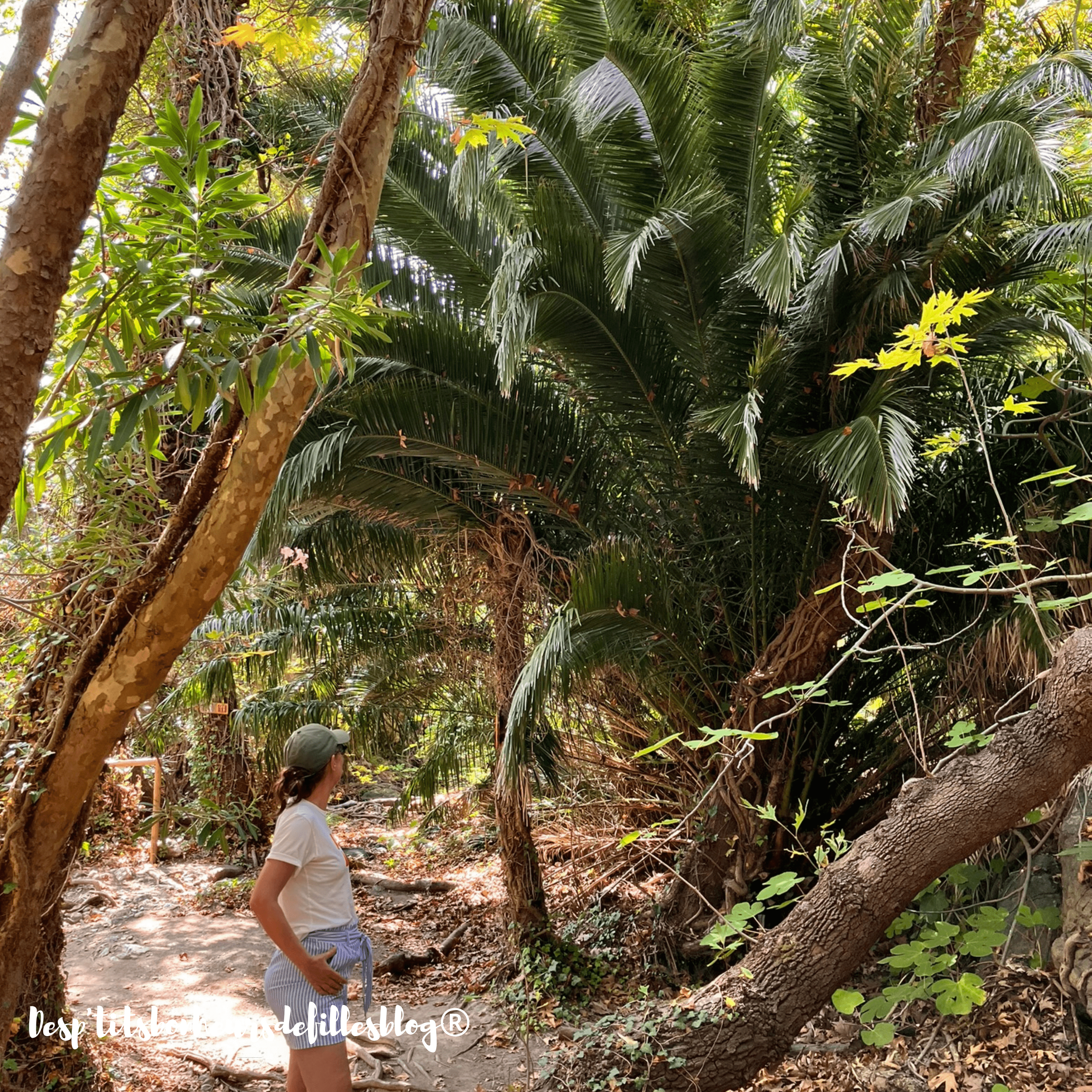 randonnee gorges de richtis