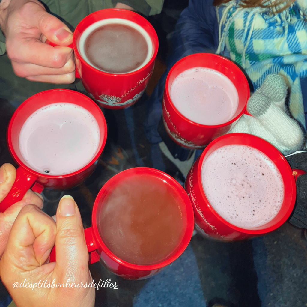 escapade 3 jours à vienne en hiver