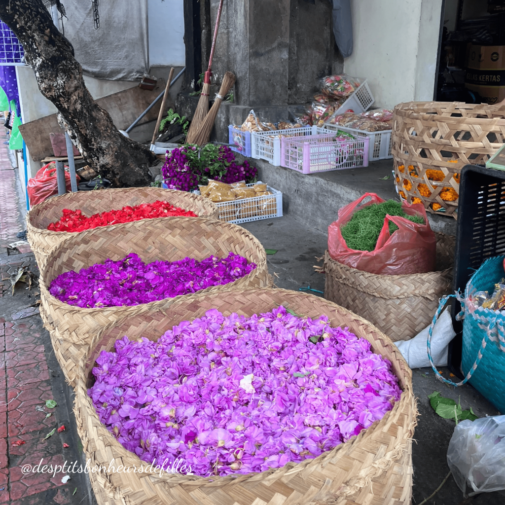 les fleurs de bali