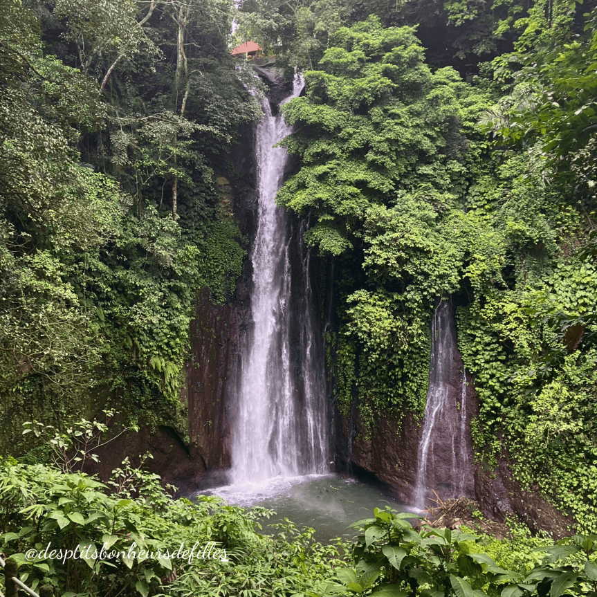 cascade de banyulis Bali