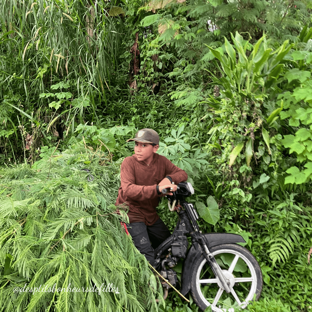 balade dans la foret tropicale bali