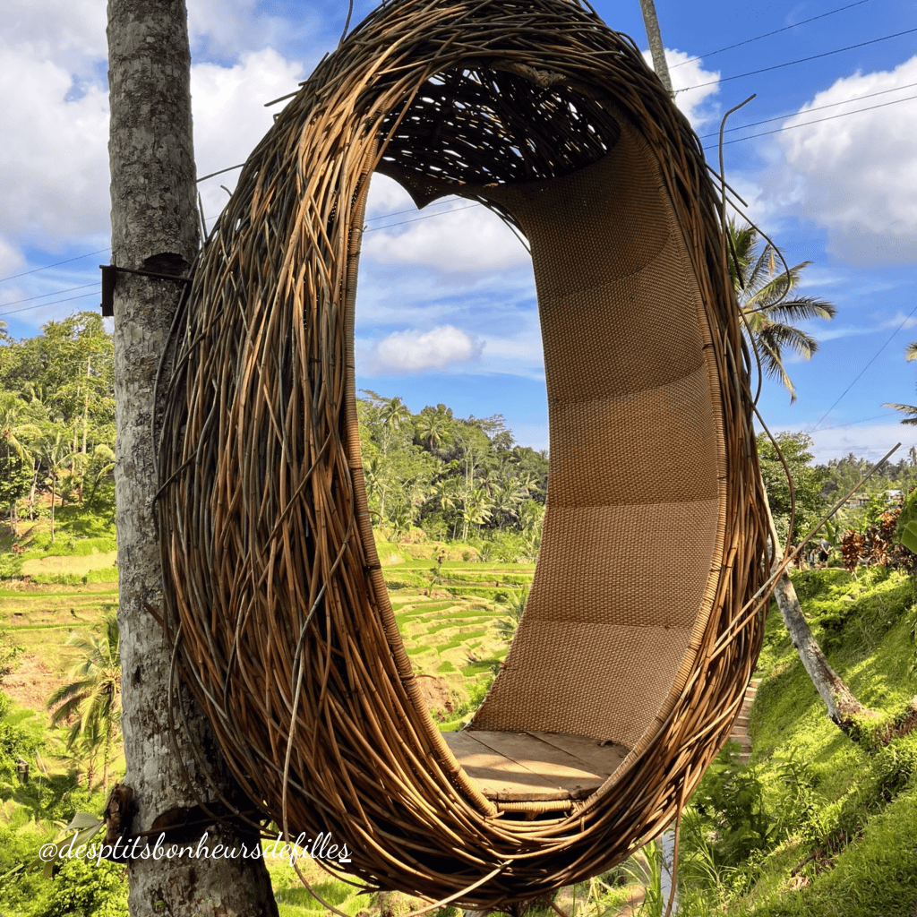 rizieres de tegalalang Bali