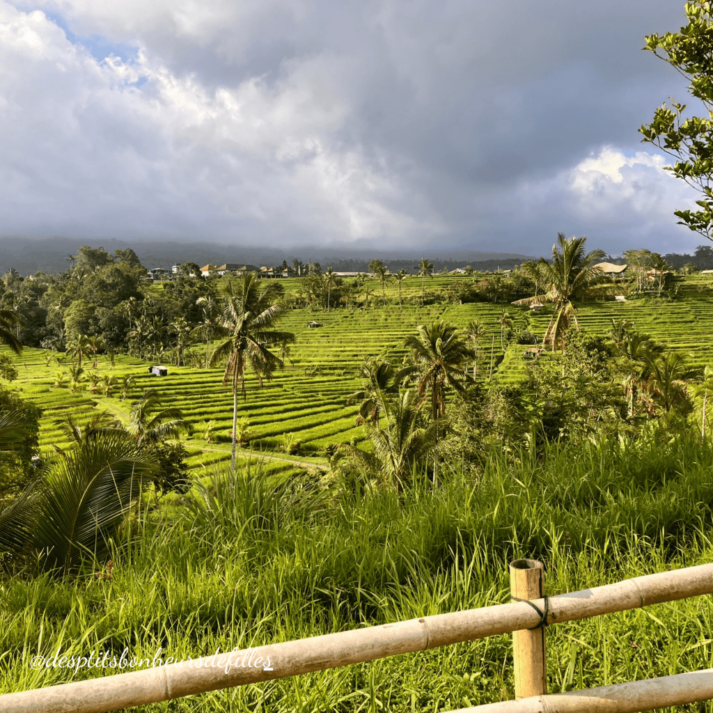 plus belles rizières bali