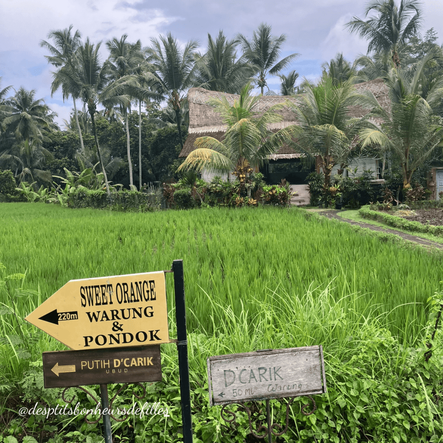 carnet de voyage bali 15 jours