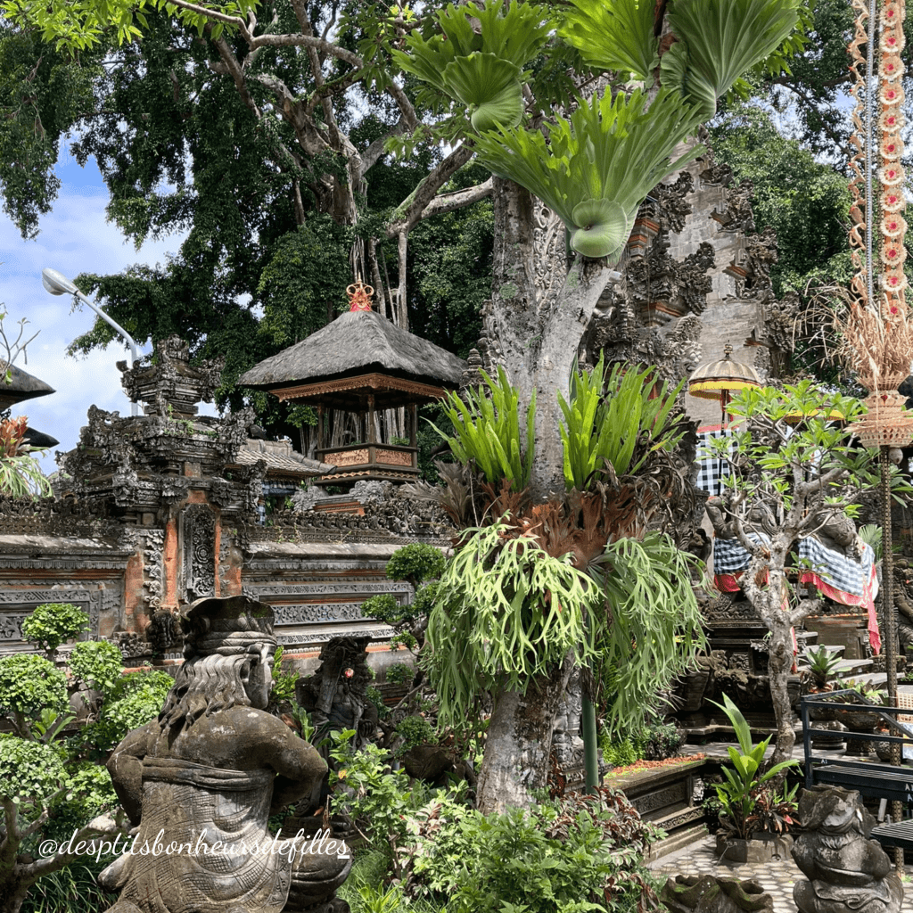 circuit Bali blog voyage