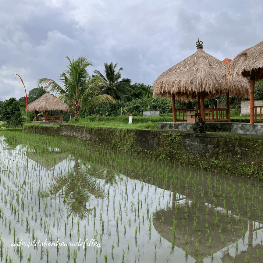 ou manger à Ubud