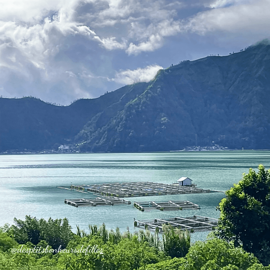 bali voyage 15 jours