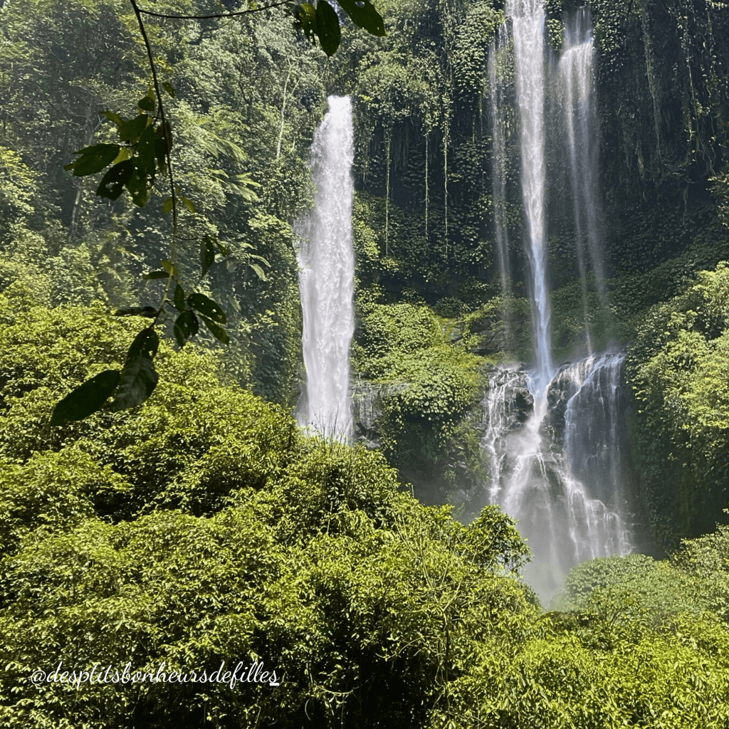 Bali cascades à voir
