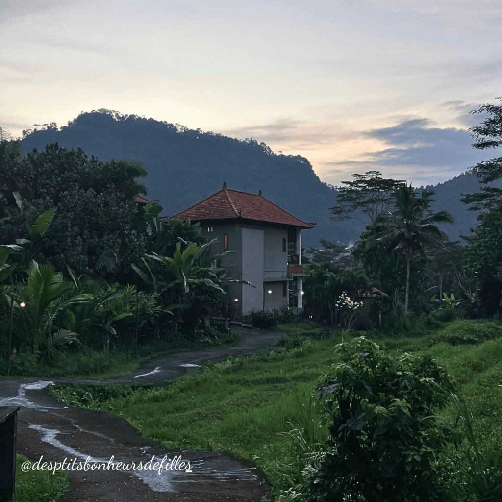 Hotel Alamdhari Sidemen Bali