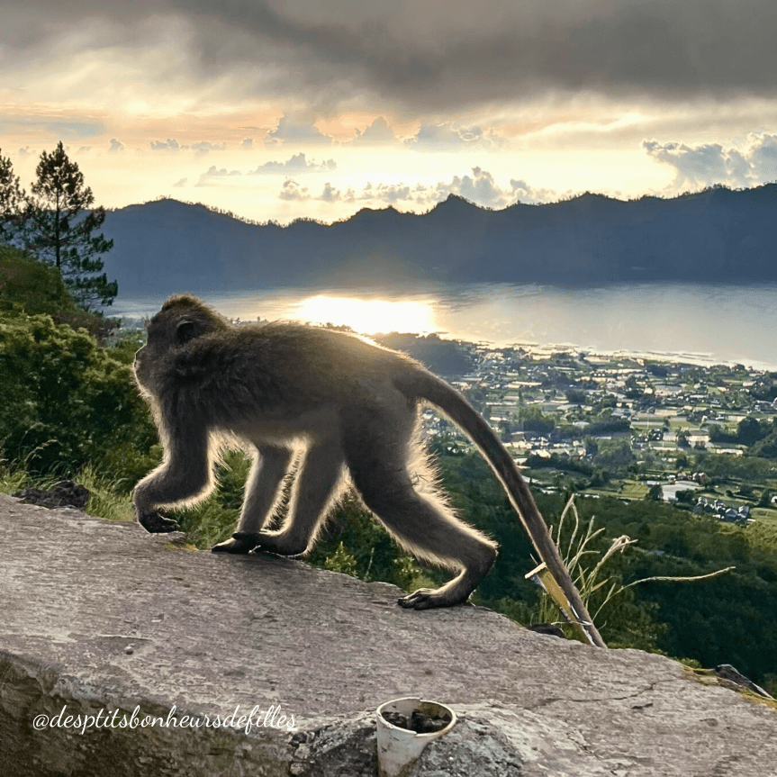 Sommet Mont Batur Bali vue