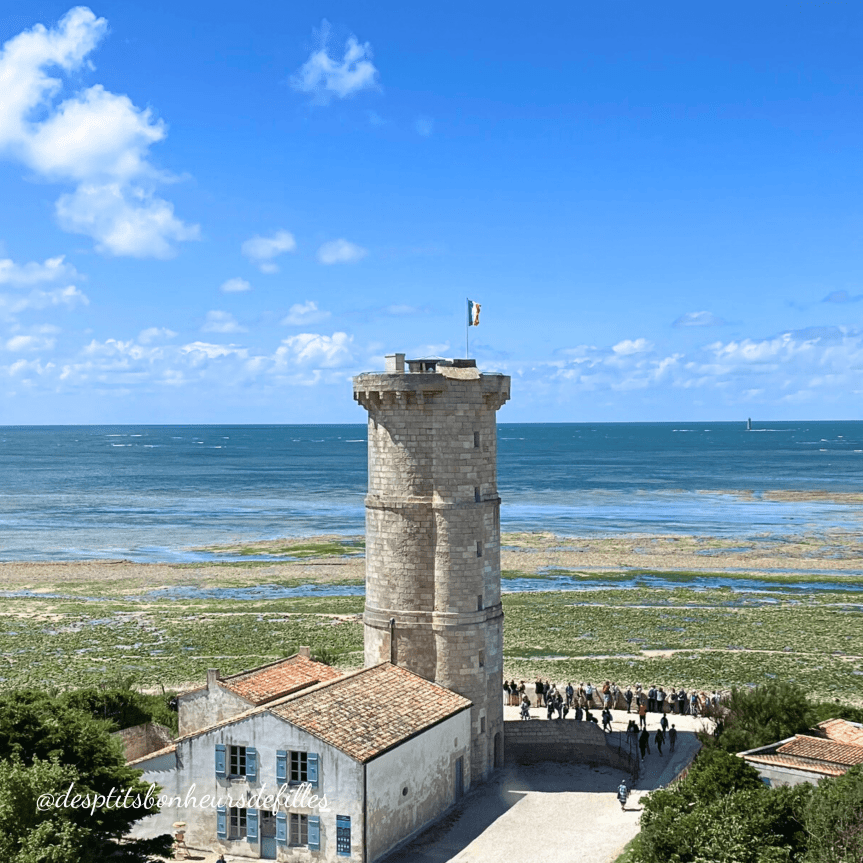 vue du phare des baleines ile de ré