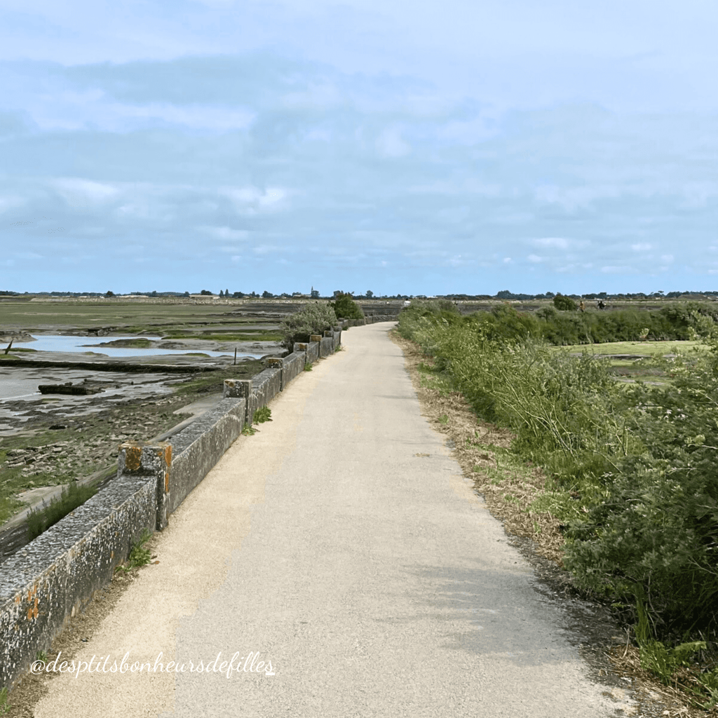 que faire à l'ile de ré