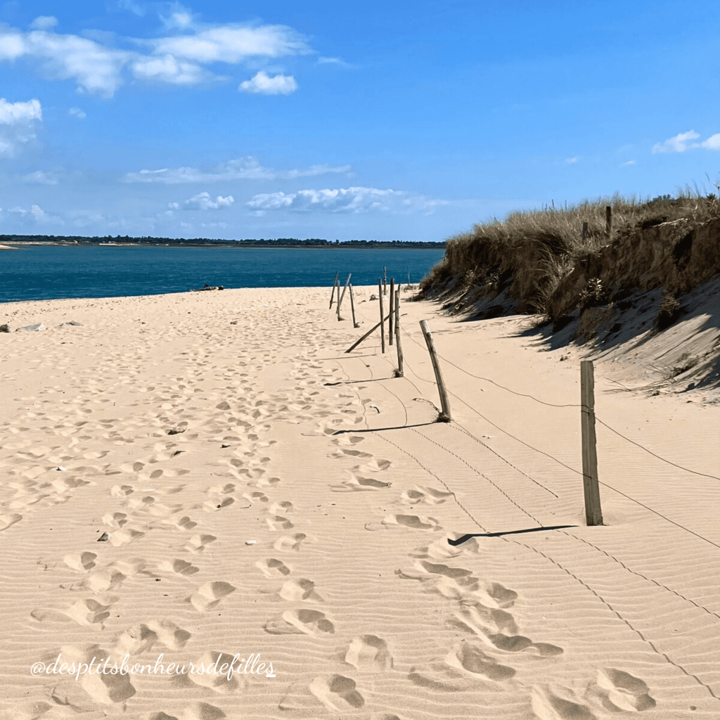 plus belles plages ile de ré