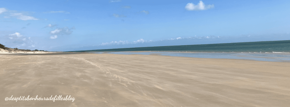 plage de la patache ile de ré