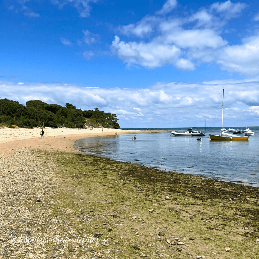 plage du grouin ile de ré
