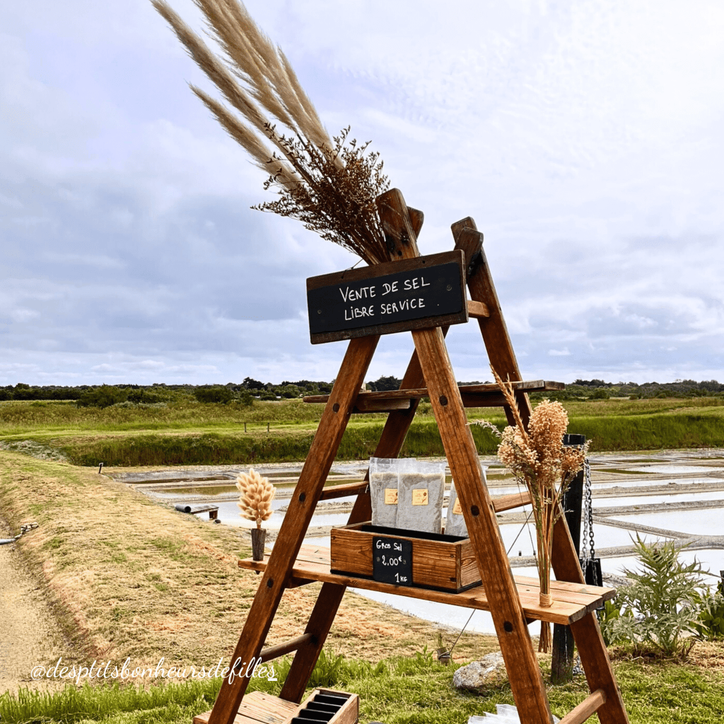 vente de sel ile de ré