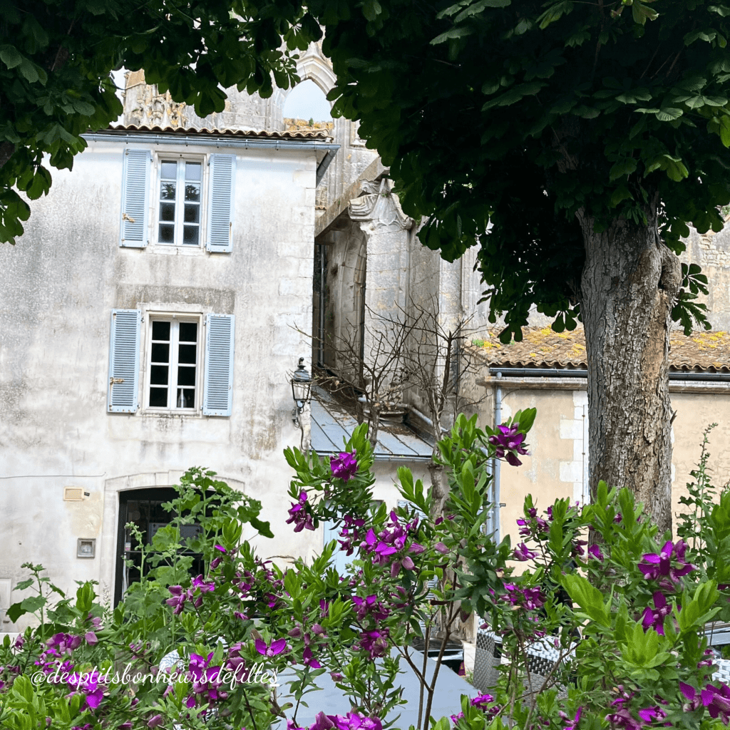 ville st martin de ré