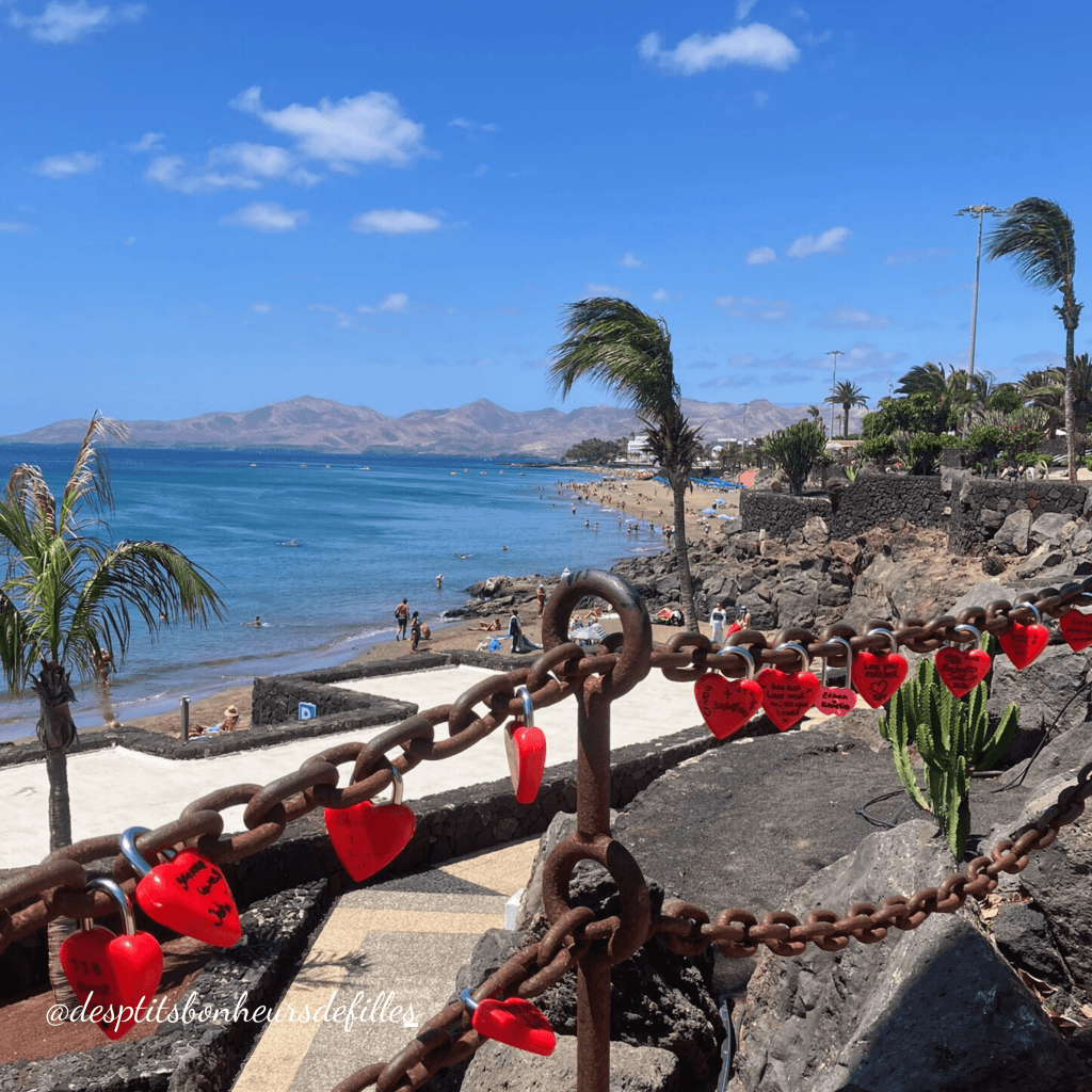 Puerto Del Carmen Lanzarote avis