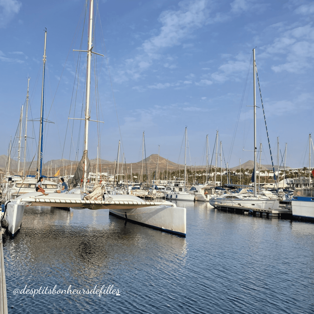 Ou voir les dauphins à Lanzarote