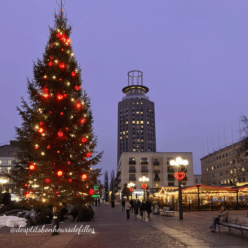 mon voyage à Stockholm avis