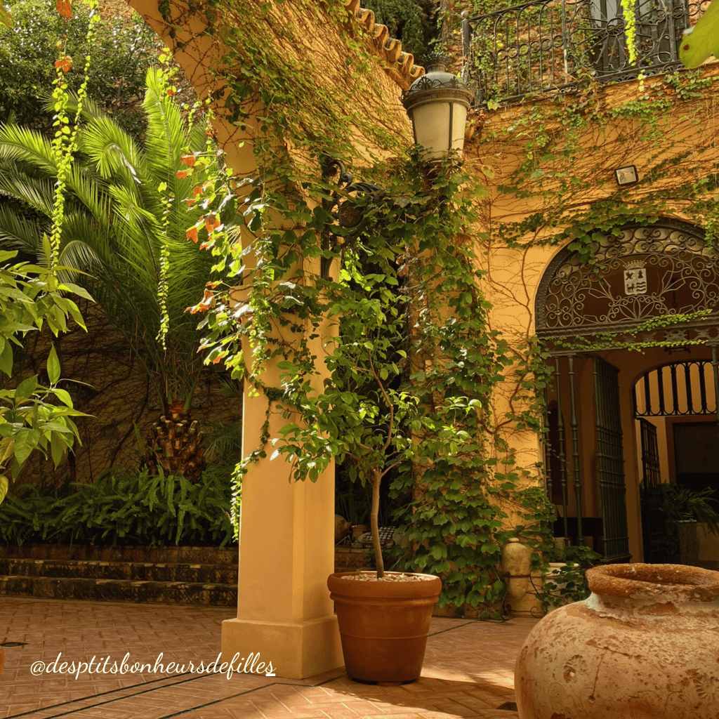 Palacio de las duenas Seville visite prix