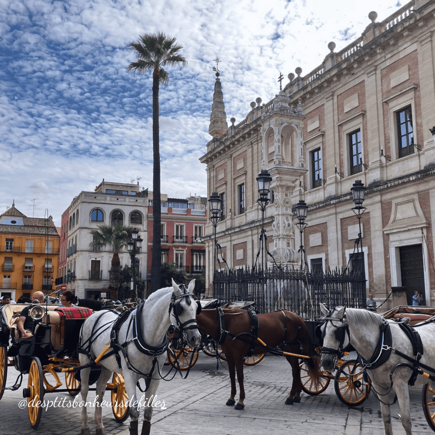 Conseils pour préparer votre voyage à Séville