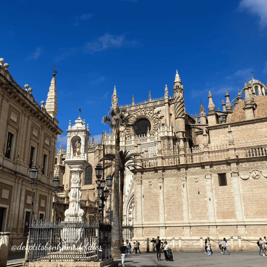 Visite cathedrale de seville prix