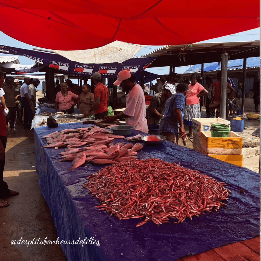 Negombo visite Marché aux poissons Sri Lanka