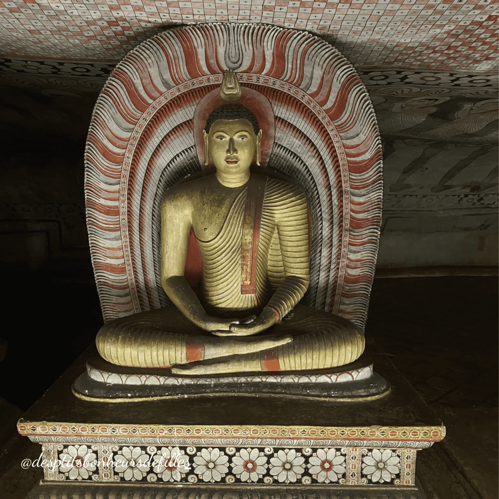 Visite cave temple de Dambulla prix