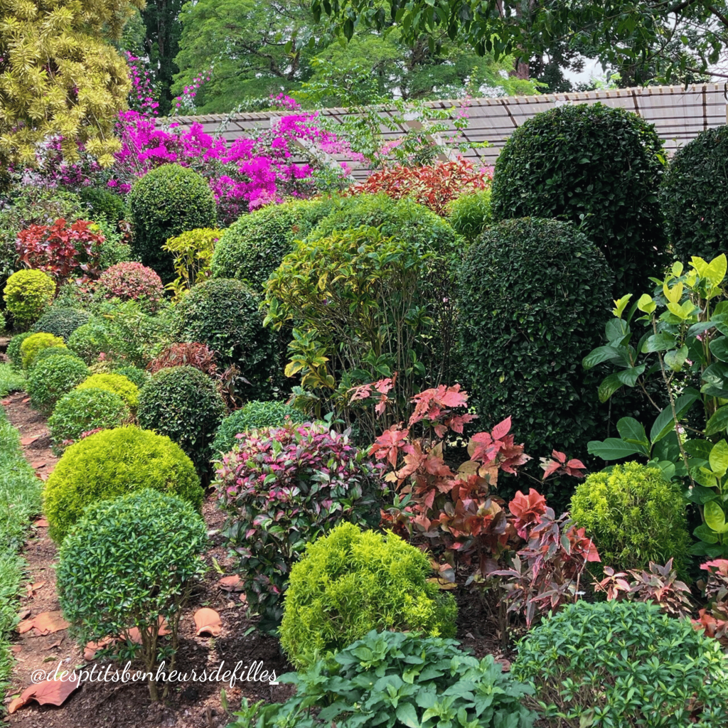 visite jardin botanique kandy prix
