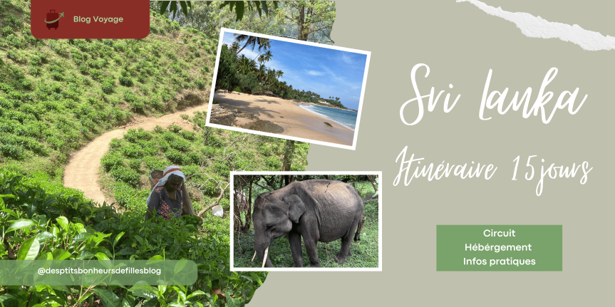 Voyage Au Sri Lanka En 15 Jours Notre Itin raire Hors Des Sentiers Voyage Au Sri Lanka En 15 Jours Notre Itin raire Hors Des Sentiers