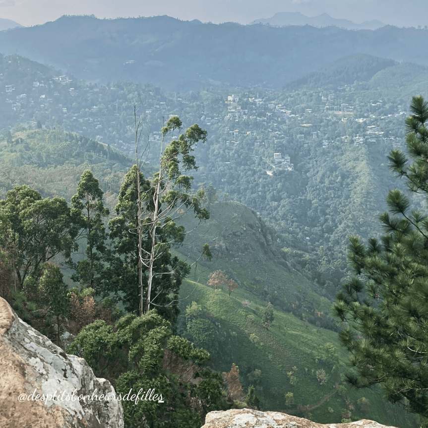 Ella rock randonnée sri lanka