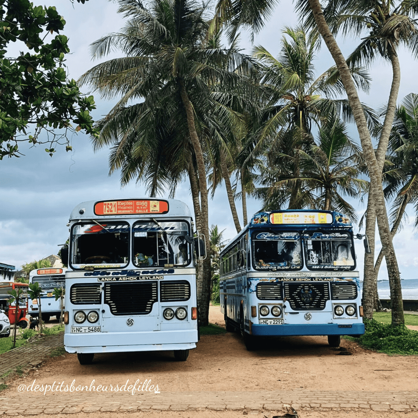 Deux bus public colorés au Sri Lanka 