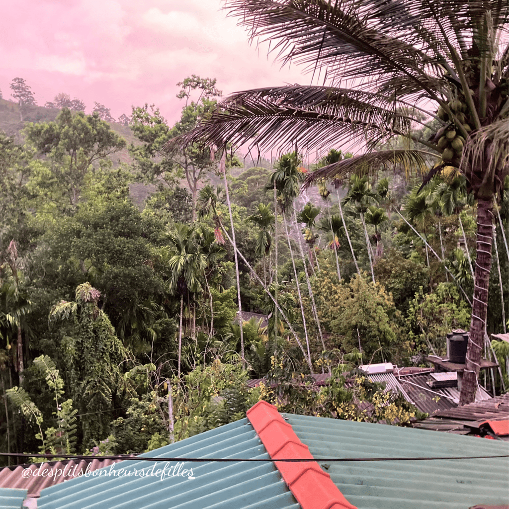 Hotel dans la forêt au sri Lanka ella